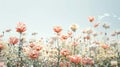 pastel flowers, radiating an ethereal glow and symbolizing renewal and hope against a transparent background.