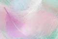 Pastel fluffy feathers background