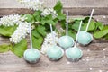 Pastel green cake pops in spring setting Royalty Free Stock Photo