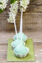 Pastel green cake pops in spring setting Royalty Free Stock Photo