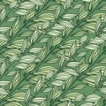 Pastel green tones seamless pattern with outline leaves ornament. Simple floral backdrop
