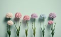 Celebrate with Flowers: pastel growing carnations on green backgound