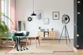 Pastel living room interior Royalty Free Stock Photo