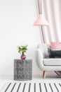 Pastel living room interior Royalty Free Stock Photo