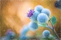 Pastel painting flower - flowering Great Burdock