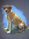 Pastel Painting of Yellow Lab Dog