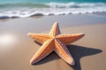 A pastel peach colored starfish on the beach near the sea, Peach Fuzz Royalty Free Stock Photo