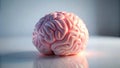 Pastel pink brain model on white surface image Royalty Free Stock Photo