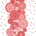 Pastel pink circle daisy flowers on white seamless border, vector