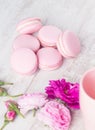 Pastel pink macaroons with rose Royalty Free Stock Photo