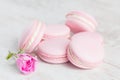 Pastel pink macaroons with rose Royalty Free Stock Photo