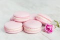 Pastel pink macaroons with rose Royalty Free Stock Photo
