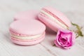 Pastel pink macaroons with rose, pastel colored Royalty Free Stock Photo