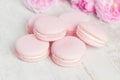 Pastel pink macaroons with rose, selective focus Royalty Free Stock Photo