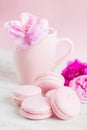 Pastel pink macaroons and tea cup with rose Royalty Free Stock Photo
