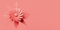 Pastel pink monochrome background with a flower surrounded by symmetrical leaves with copy space