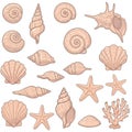 Pastel Pink Seashells Starfish and Coral Illustration Royalty Free Stock Photo