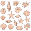 Pastel Pink Seashells Starfish and Coral Illustration Royalty Free Stock Photo