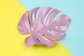 Pastel pink tropical split leaf on colorful background