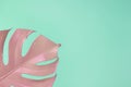 Pastel tropical split leaf background