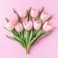 Pastel Pink Tulips Bouquet on Pink Background Royalty Free Stock Photo