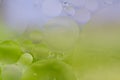 Pastel Purple and Green Oil and Water Bubble Abstract Background