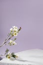 Pastel purple and white stone marble display set for product background decorate with white flower