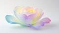 Pastel Rainbow Rose with Waterdrops on White Background Royalty Free Stock Photo