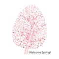 Pastel rose color sprint cherry blossom tree