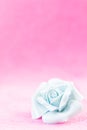 Pastel Rose on pink fabic background Royalty Free Stock Photo