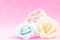 Pastel Rose on pink fabic background Royalty Free Stock Photo
