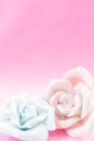 Pastel Rose on pink fabic background Royalty Free Stock Photo