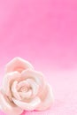 Pastel Rose on pink fabic background Royalty Free Stock Photo