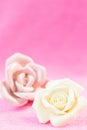 Pastel Rose on pink fabic background Royalty Free Stock Photo