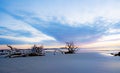 Pastel skies at dawn at Driftwood Beach