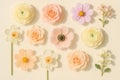 Pastel Spring Flowers Flat Lay Collection Royalty Free Stock Photo