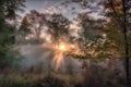 pastel sunrise, with rays of light shining through the trees and highlighting seasonal changes