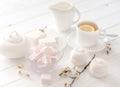 Pastel tea set with zefir and sweets Royalty Free Stock Photo