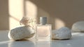 A pastel-toned perfume flacon rests elegantly between two smooth stones, illuminated by gentle sunlight Royalty Free Stock Photo