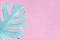 Pastel tropical split leaf background