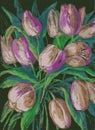 Pastel vector drawing of bouquet delicate pink tulips