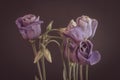 Pastel violet lisianthus bouquet macro