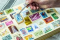 Pastes a stamp collector in album