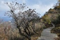 A pasthway through Mount Jiuhua, Nine Glorious Mountains Royalty Free Stock Photo