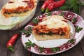 Pasticcio with chard and zucchini Royalty Free Stock Photo