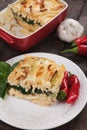 Pasticcio with chard and zucchini Royalty Free Stock Photo
