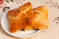 Pasties stuffed meat on tablecloth background, close up Royalty Free Stock Photo