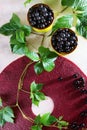 Pastila of black currant berries on a light background. Nearby is a branch with green leaves. Black currants in ceramic dishes. Royalty Free Stock Photo