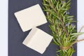 bars of natural artisan soap with rosemary essence, solid and natural soap isolated on white background