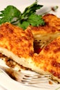 Pastitsio close up Royalty Free Stock Photo